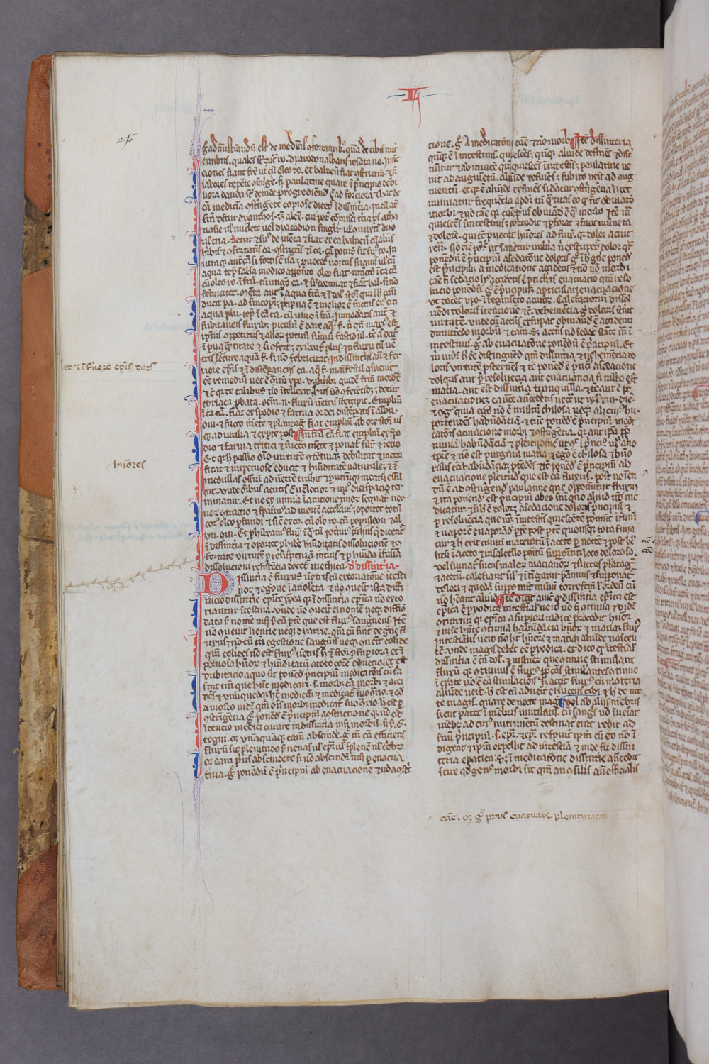 Folio 101 verso